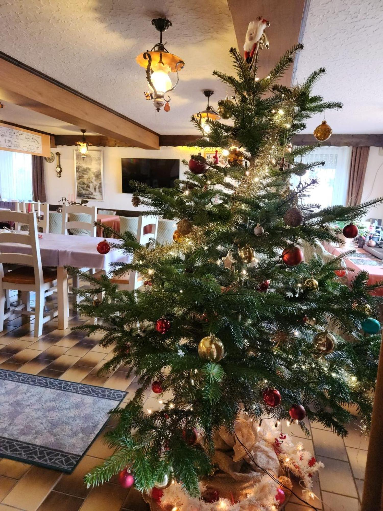Gasthaus Hochwald Hattgenstein Buitenkant foto